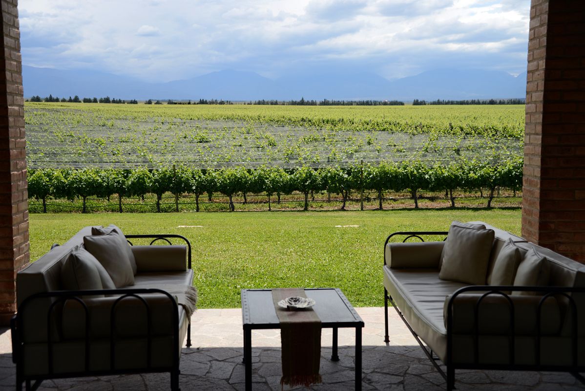 07-04 Looking Out At The Andeluna Cellars Vineyard On The Uco Valley Wine Tour Mendoza